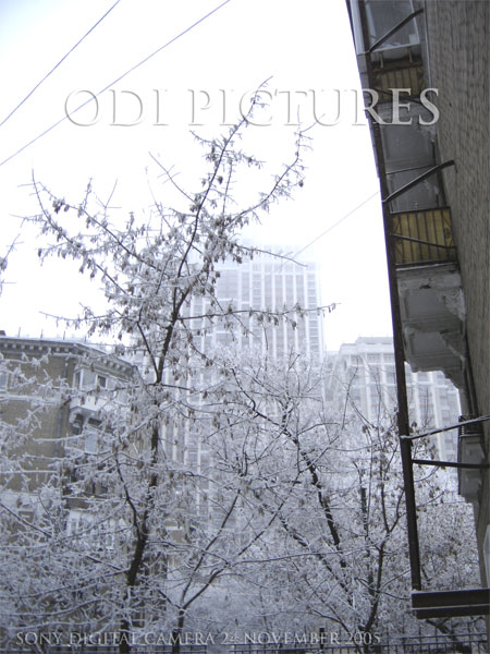 Moscow in november