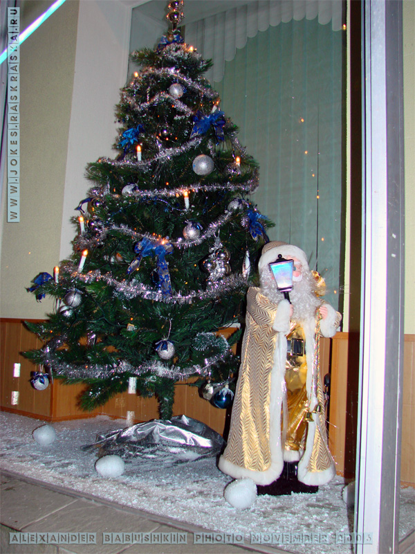 New Year in Moscow photos photo