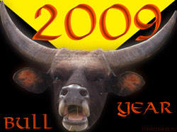 Year of the Bull card