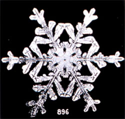 snowflake a sample