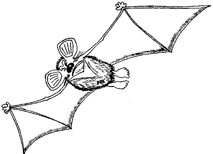 bat outline picture