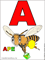 italian letter a with color image with caption