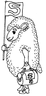 sheep