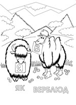 yak and camel cartoon