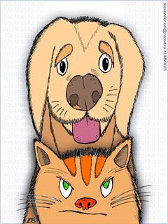 цветной плакат Пёс и кот