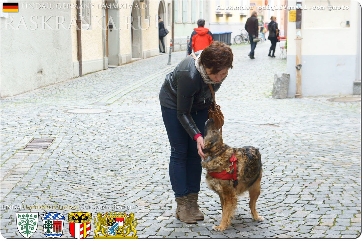 Woman with dog in Lindau
