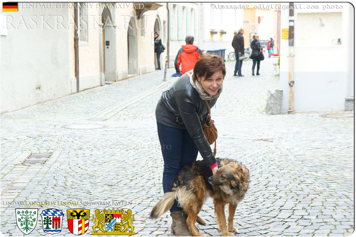 mutt dog with beauty russian woman