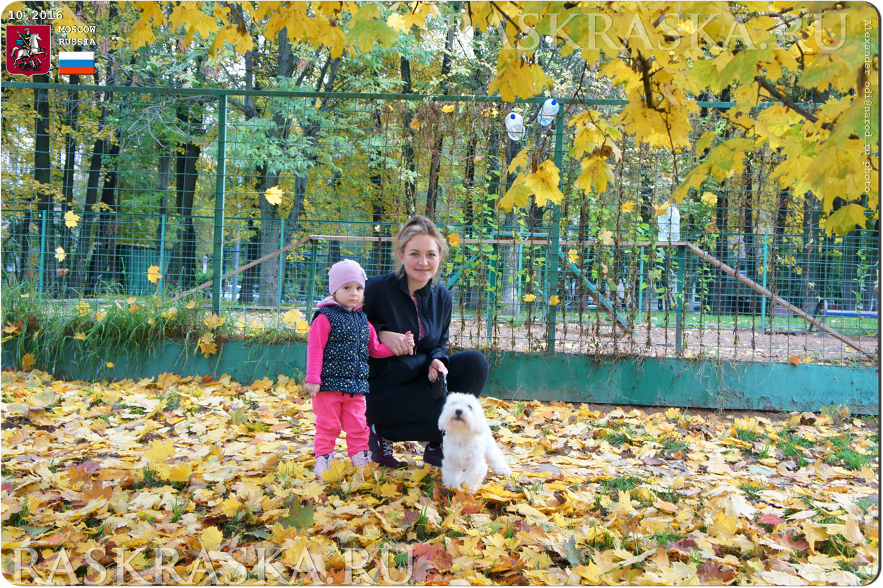 Maltese dog and her lovely owners