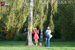 Lady with her Welsh corgi pembroke at the photo shoot