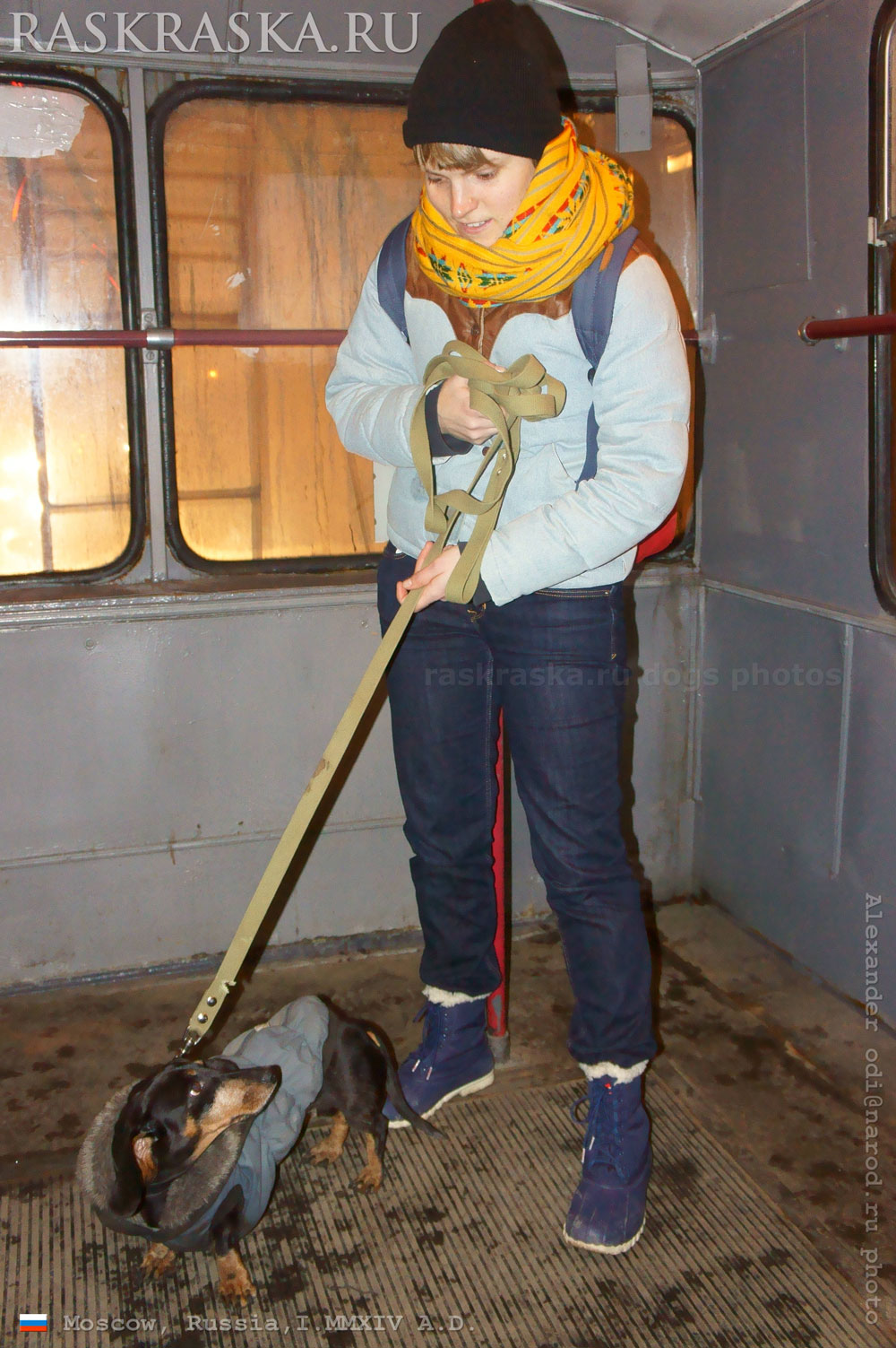 russian girl with dachshund in moscow trolleybus