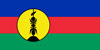 Новая Каледония флаг