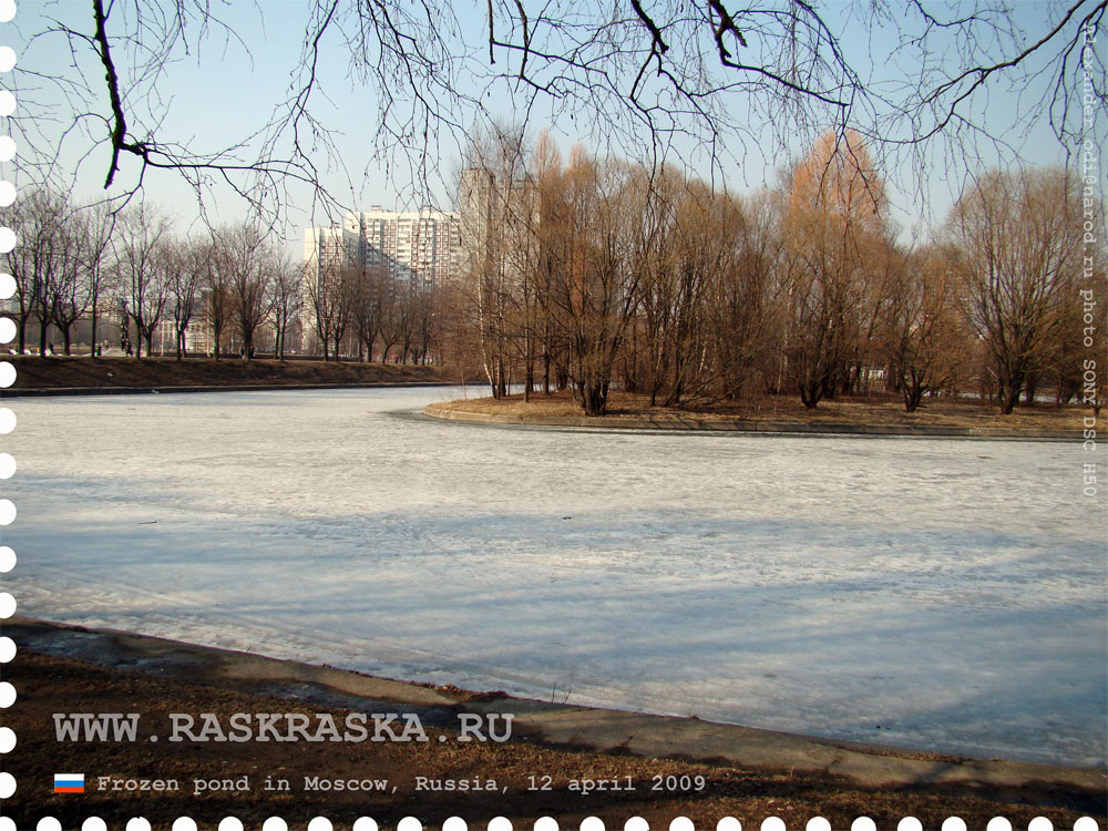замёрзший московский пруд в апреле