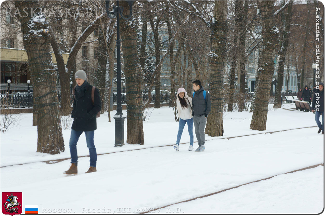 московский март снегопад