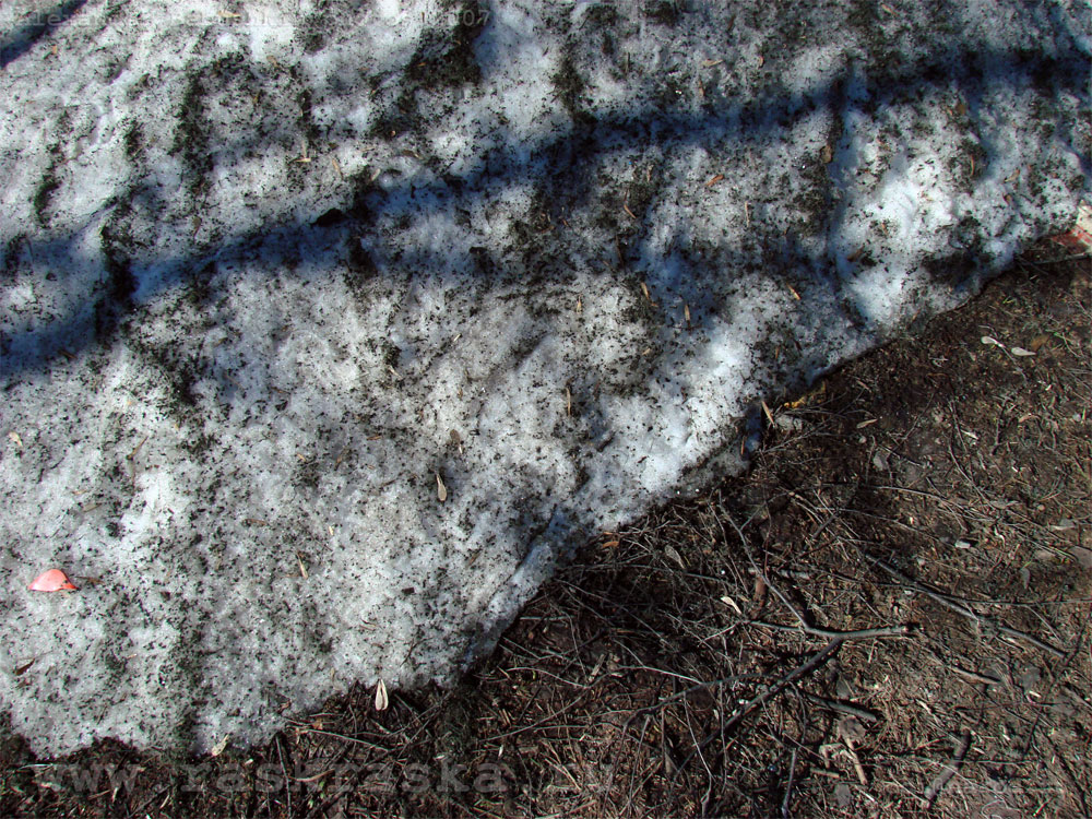 редкая фотография последний снег теплой веной 2007 25 марта