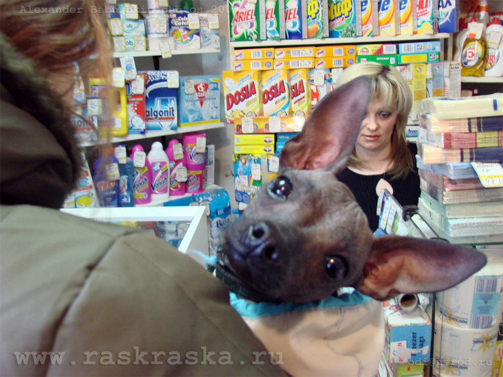 girl with dog