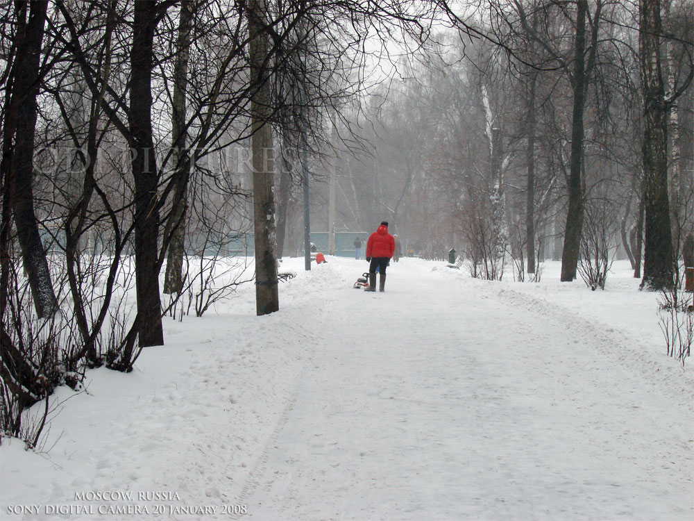 the first snows of winter 