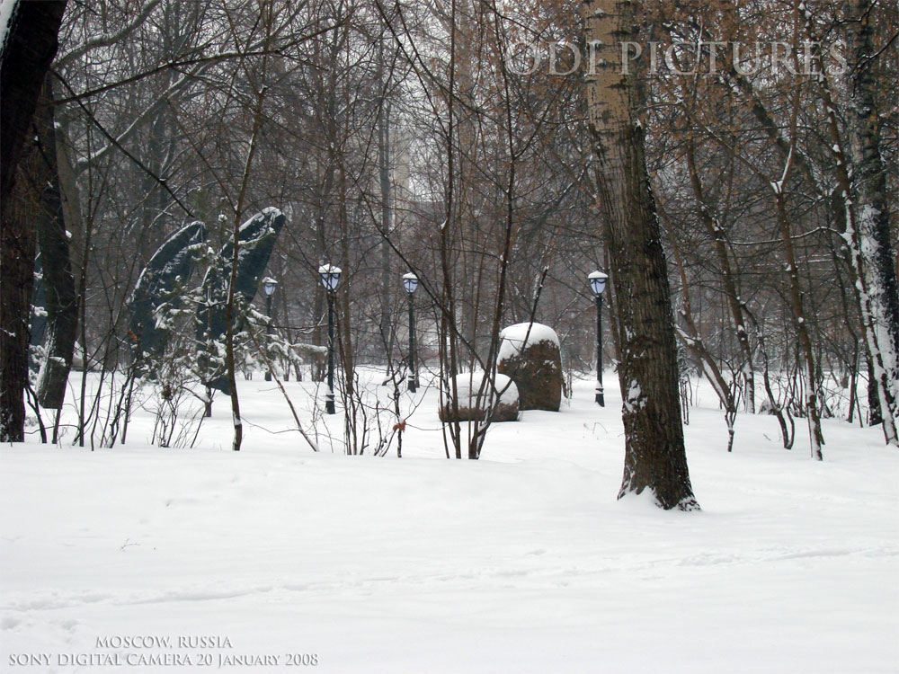 street lamp to sink in the snow