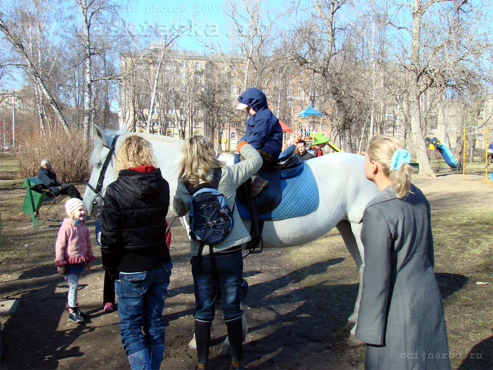 московские прогулки на лошади лошадь в Москве фото фотки фотографии фотоальбом лошадей
