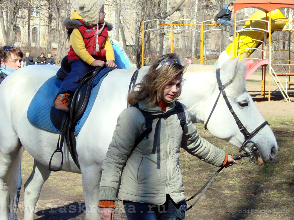 horsemanship in Russia