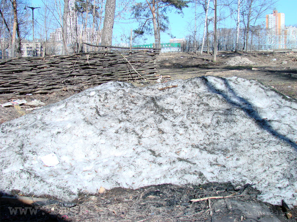 уникальная фотография последний снег теплой веной 2007 25 марта