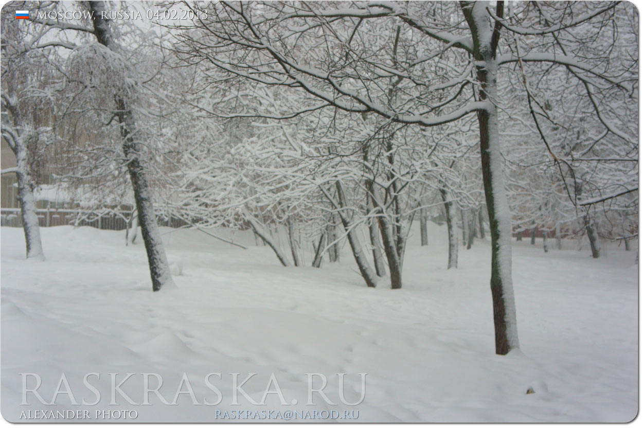 зима погода Москва фото