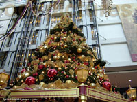 New-Year's balls on Cristmas tree