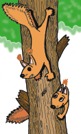 squirrels