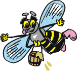 sugarbag bee