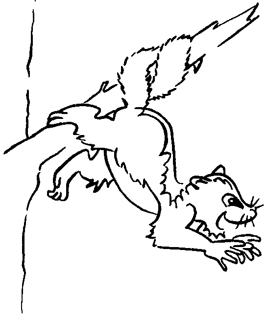 possum outline picture for print and paint raskraska