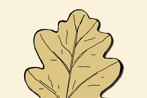 oak leaf